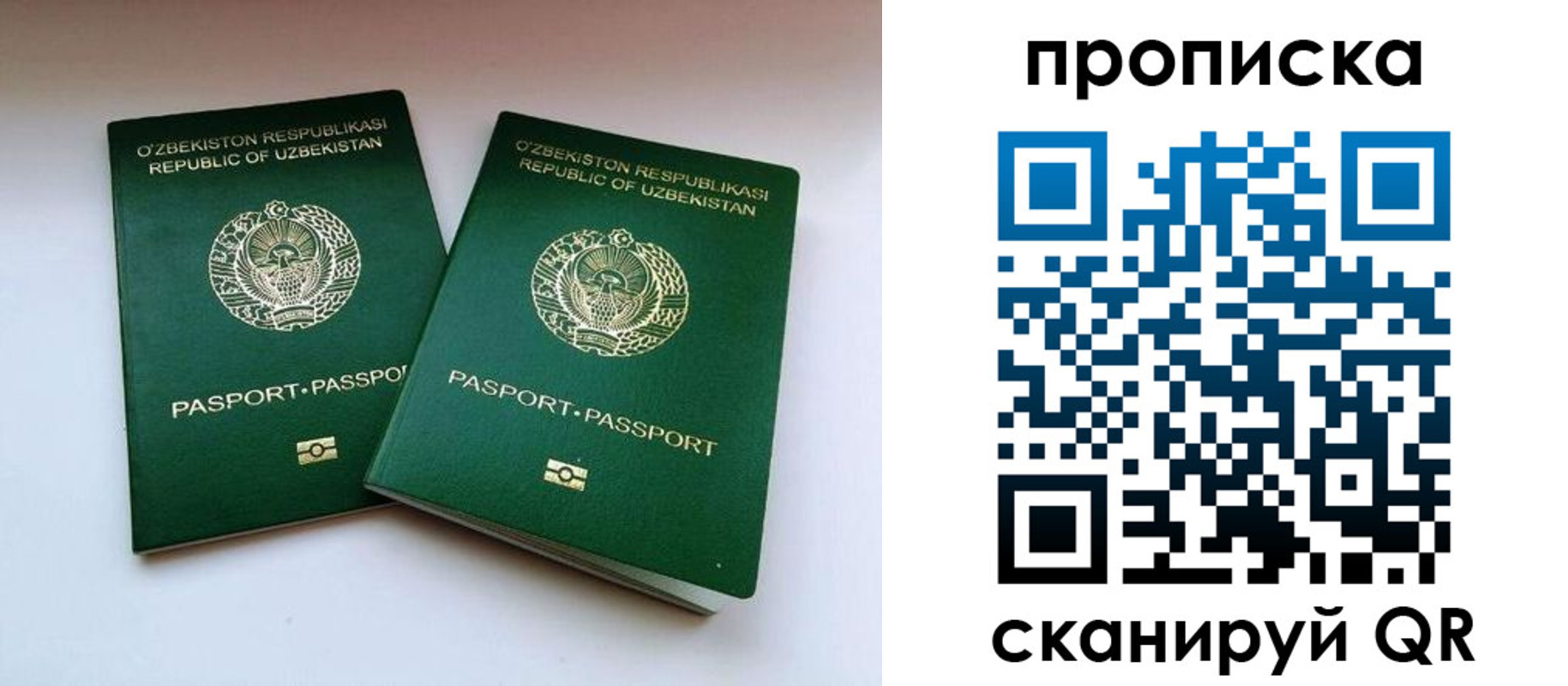 прописка поиск в Пионерском